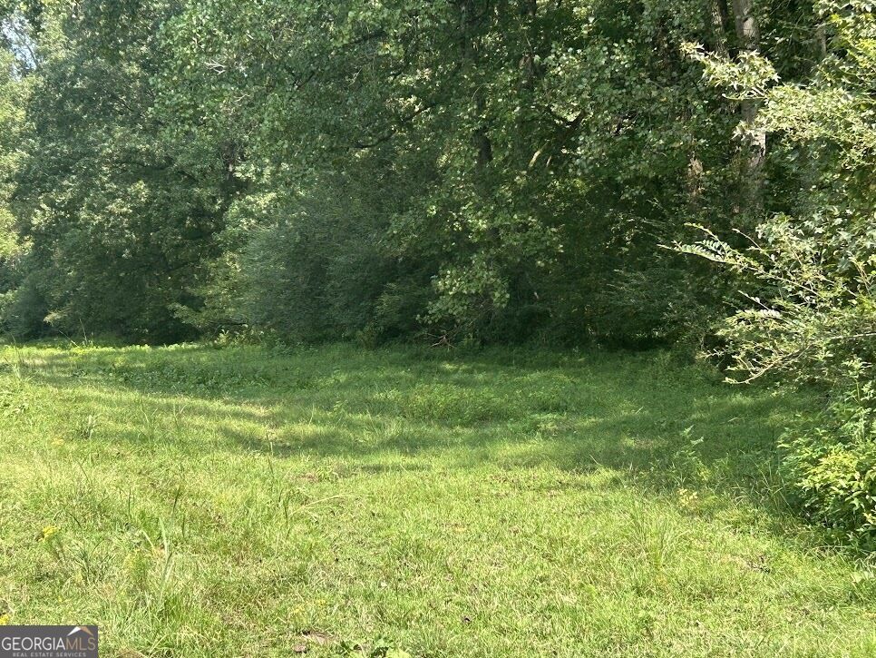 Property Photo: Tract 2 Attaway Road Tract 4.59 Acres GA 30108
