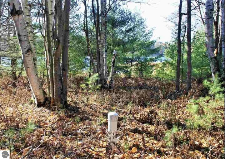 Property Photo: 312 SE Blue Heron Drive MI 49646