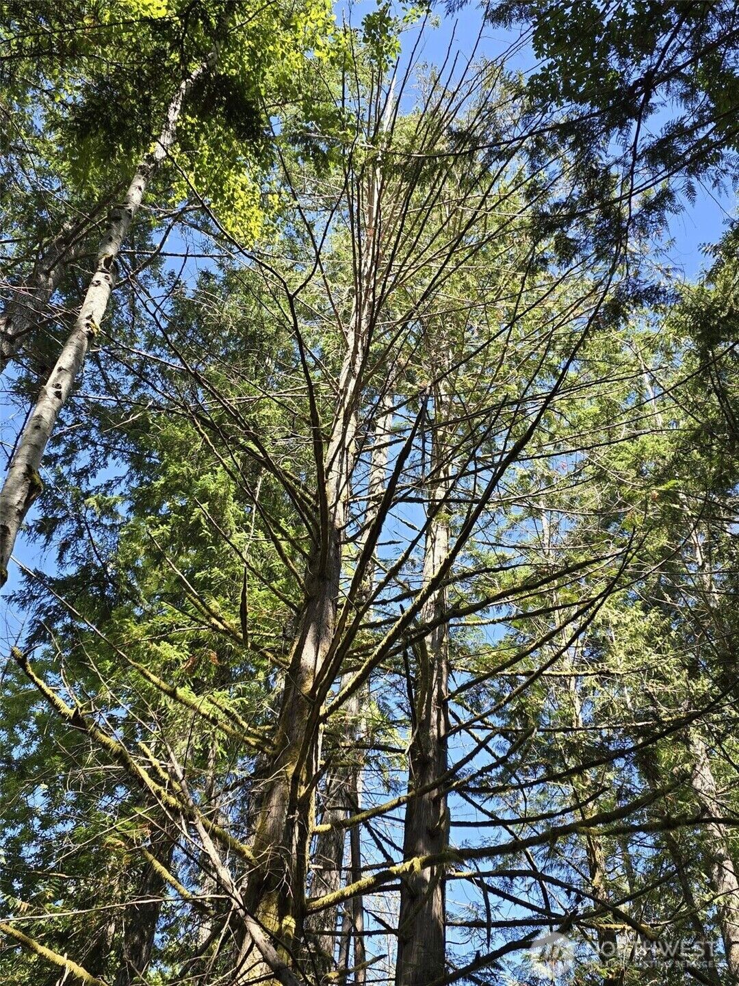 Property Photo: 309 E Pointes Drive E WA 98584