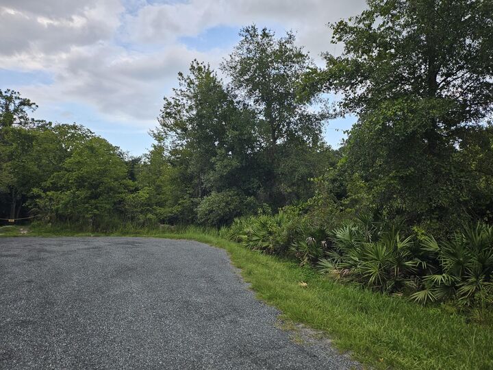 Property Photo: 0 Grape Avenue FL 34972