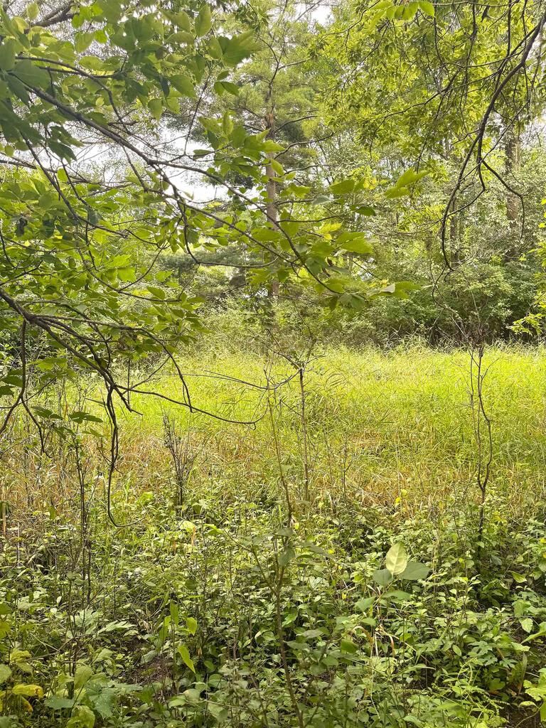 Property Photo: Rivermoor Road WI 54963