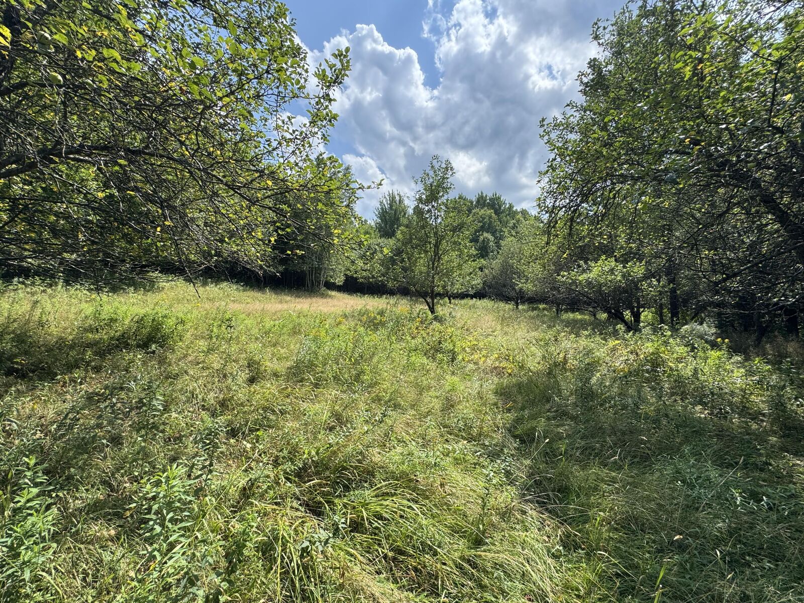 Property Photo: 0 French Settlement Road NY 12920