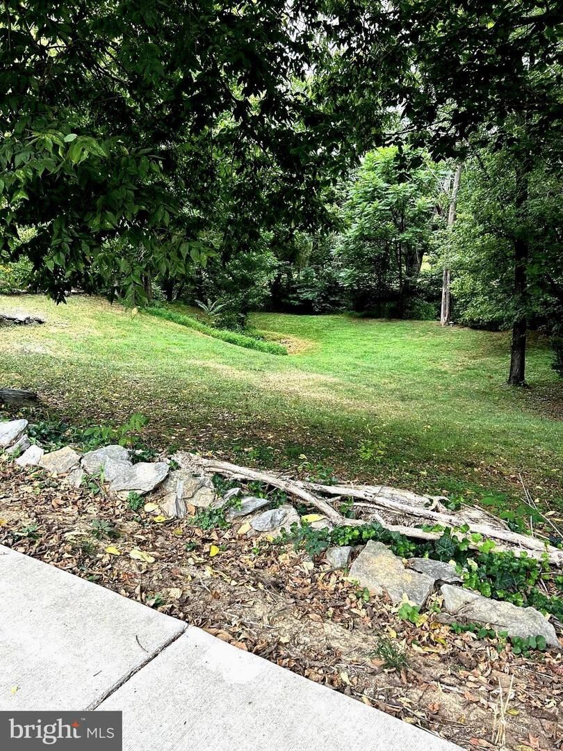 Property Photo: 45 S Main Street MD 21756