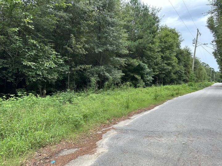 Property Photo:  200 Barkley Street  SC 29048 