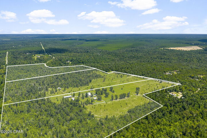 Property Photo:  13935 Blue Springs Road  FL 32466 