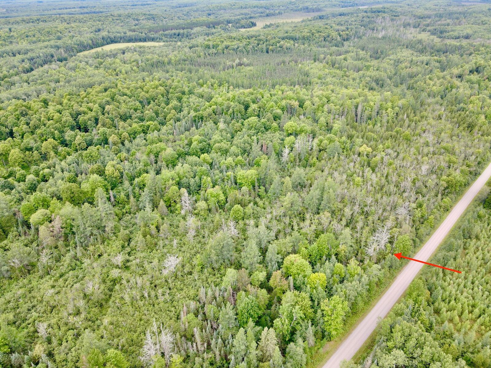 Property Photo: On McCord Rd N WI 54564