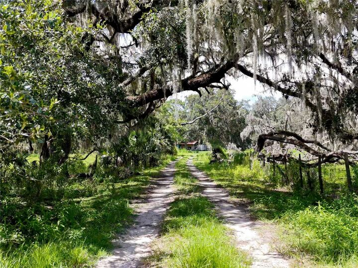 Property Photo: 20089 Ayers Road FL 34604