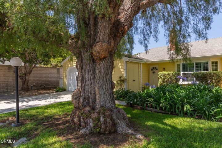 Property Photo:  3411 Rio Hato Court 9  CA 93010 