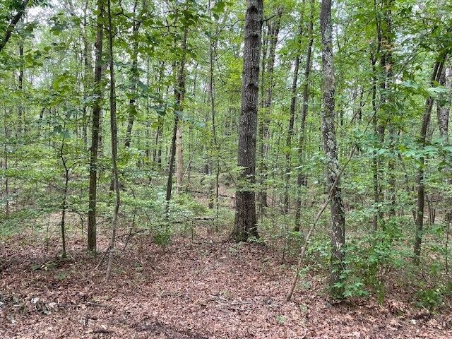Property Photo: 0 Shadow Rock Dr TN 37356