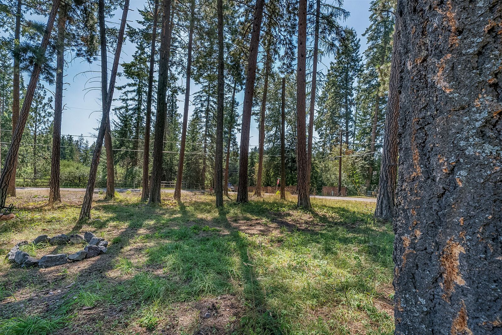 Property Photo:  Nhn Yenne Point Road  MT 59911 