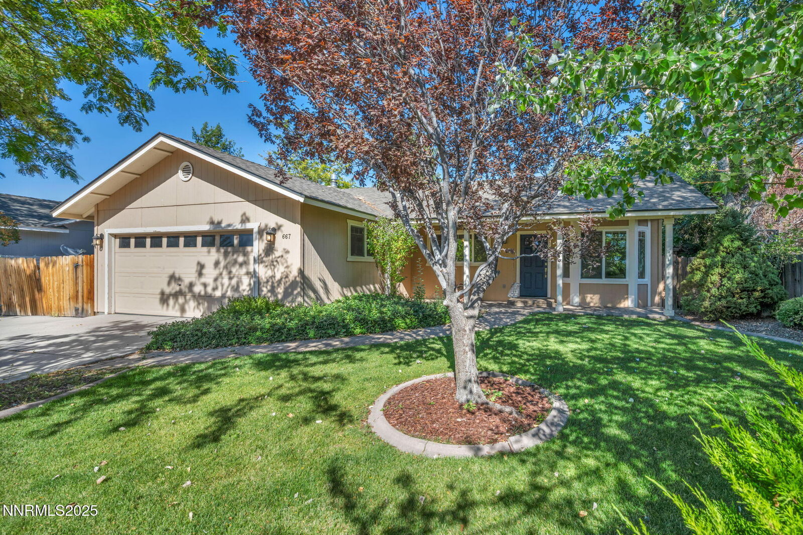 Property Photo: 667 Joette Drive NV 89460