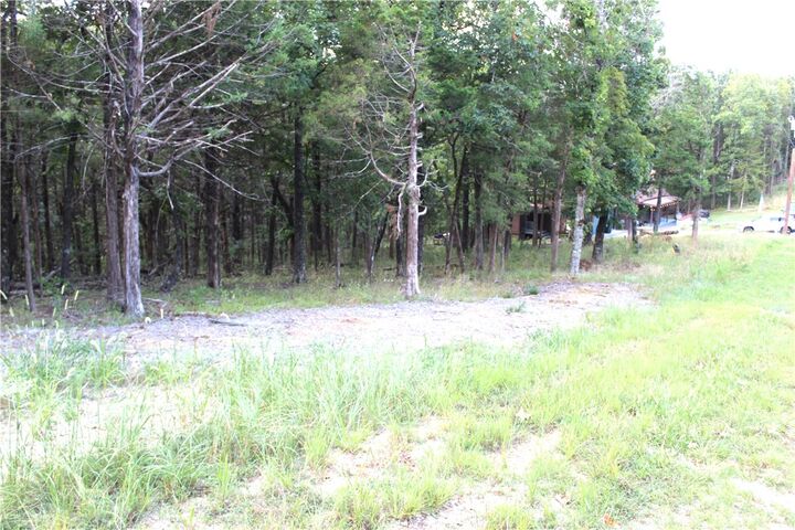 12 Twin Peak Drive  Holiday Island AR 72631 photo