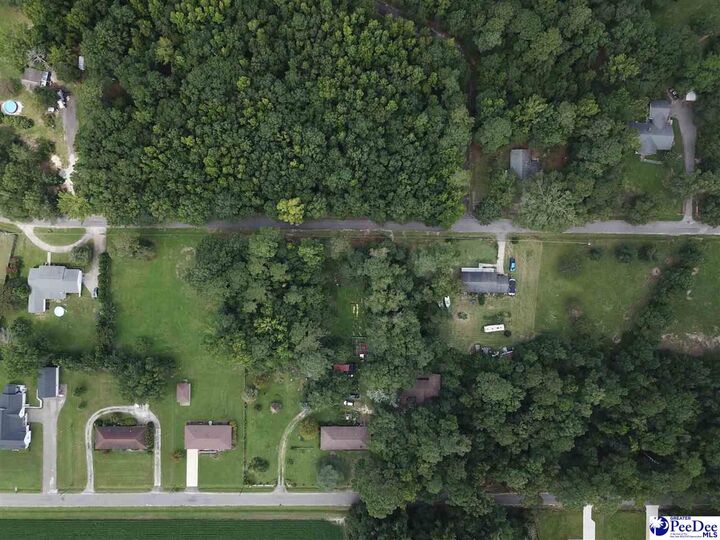 Property Photo: Tbd Hickorytree Dr. SC 29550-7401