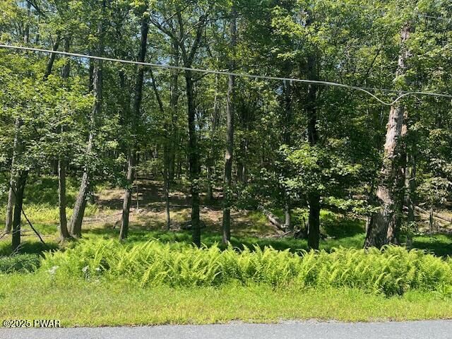 Property Photo: Lot 2603 Beaver Run PA 18337