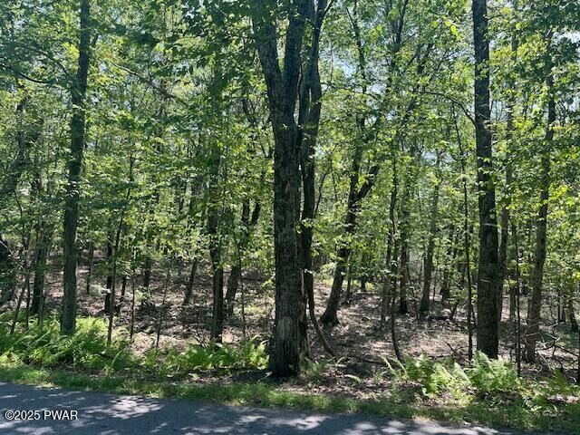 Property Photo: Lot 2611 Iroquois Trail PA 18337