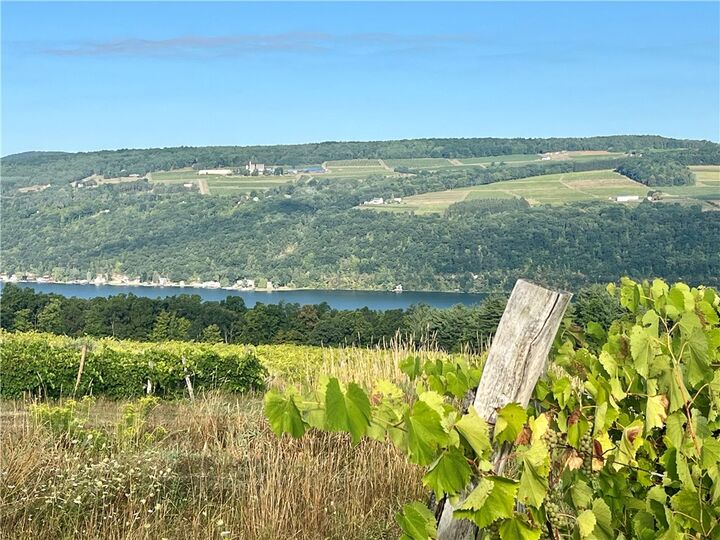 Property Photo:  0 Coryell Road  NY 14840 