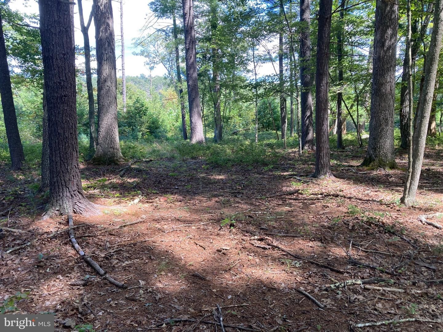 Property Photo: Croston North River Road N WV 26817