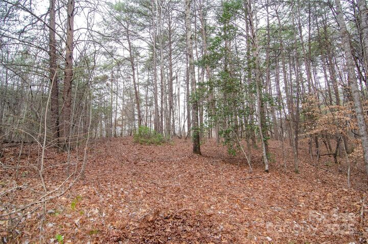 0 Rainbow Rapids Road  Rutherfordton NC 28139 photo