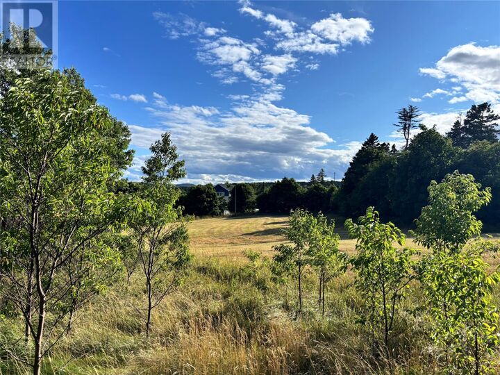 Property Photo:  21-29 Hiscock'S Lane  NL A1B 3K3 