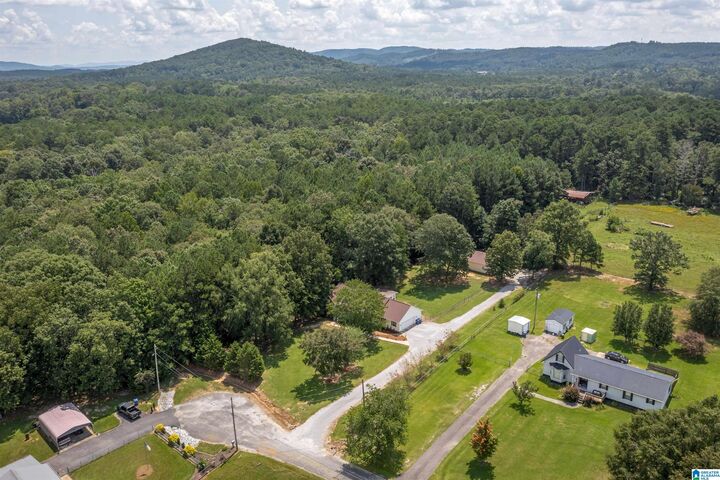 Property Photo:  9225 Goodwin Lane  AL 35903 