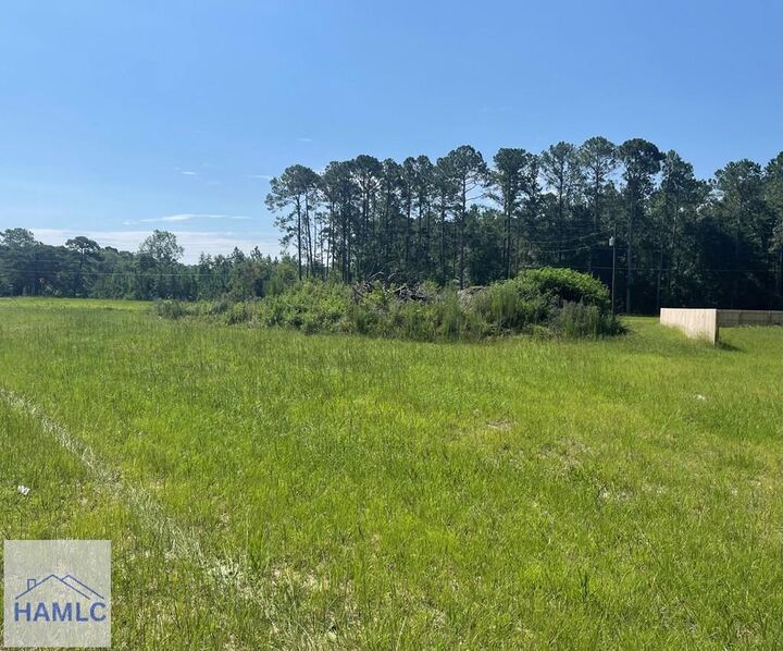 Property Photo:  Lot 1 Linden Bluff Road  GA 31545 
