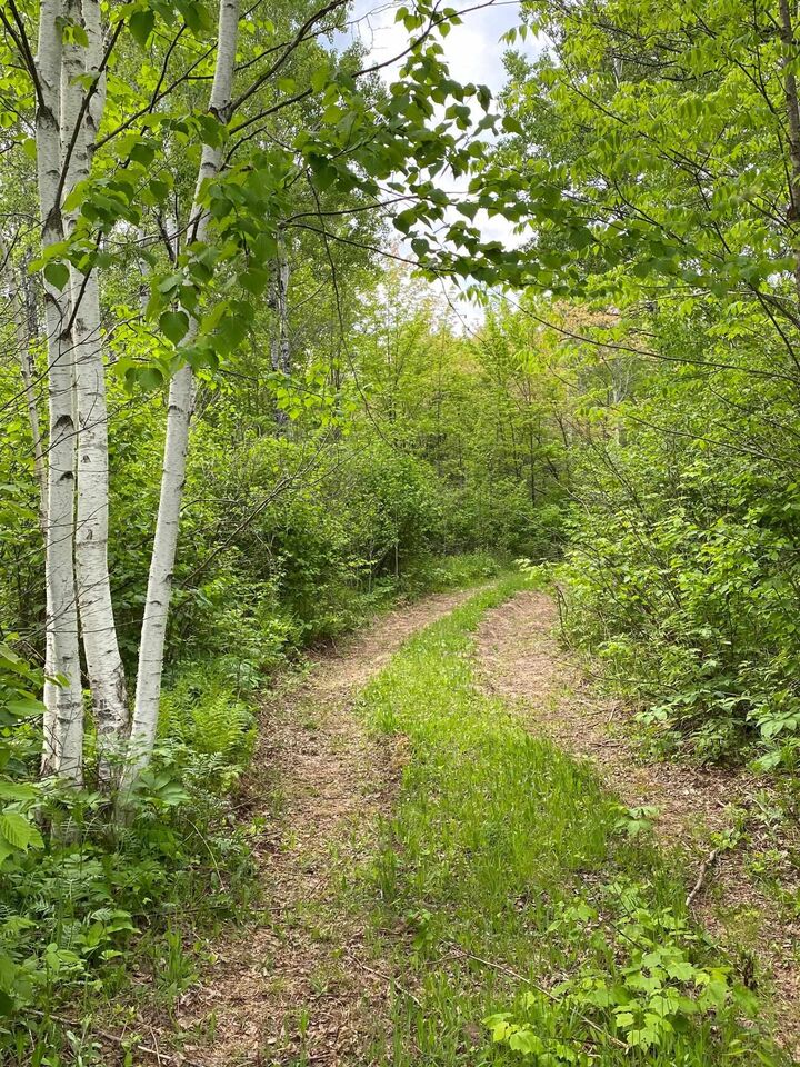Property Photo: 1454 Townline Rd MN 55602