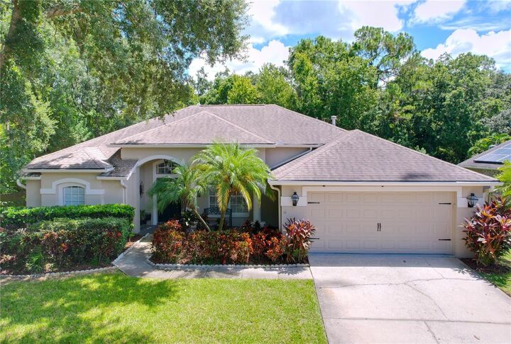 10615 Chambers Drive  Tampa FL 33626 photo