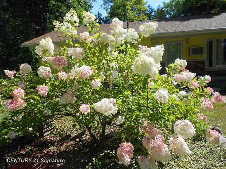 Property Photo: 224 N Chambers Road MI 48763