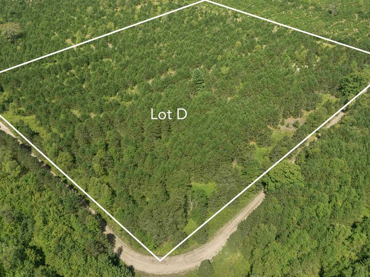 Property Photo: 15 Acres Wallin Road MI 49683