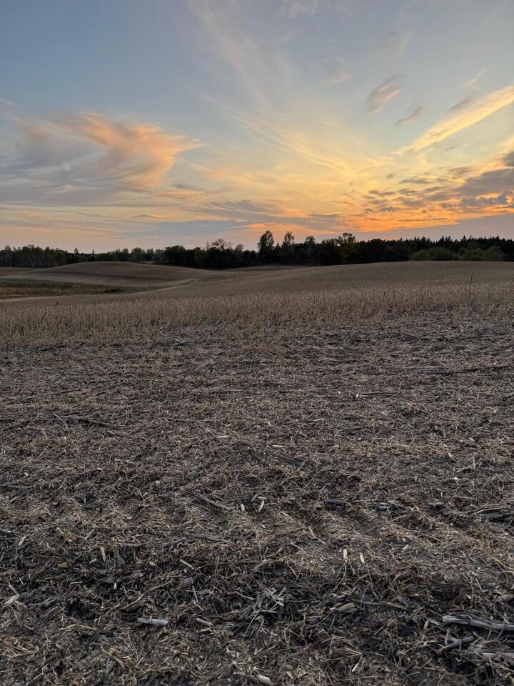 Property Photo:  Tbd Placid Drive  MN 56528 