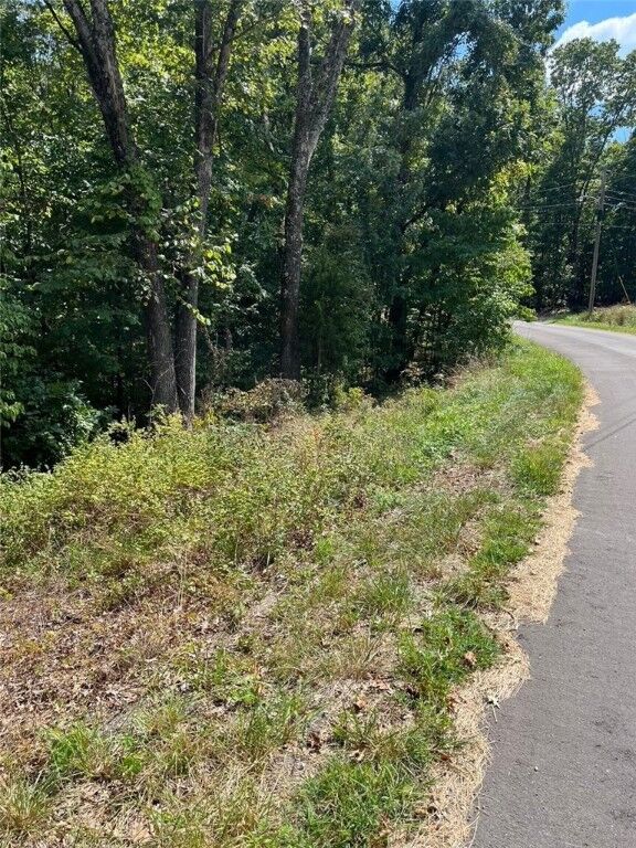 Property Photo: Lot 22 Haverhill Drive AR 72714