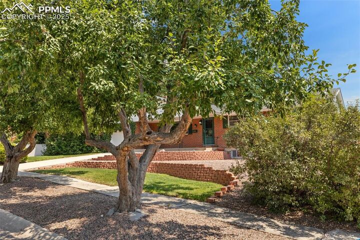 Property Photo:  2123 Glenn Summer Road  CO 80909 