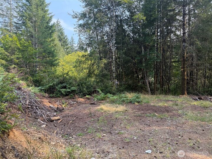 Property Photo:  31 E Tintagel Place  WA 98584 