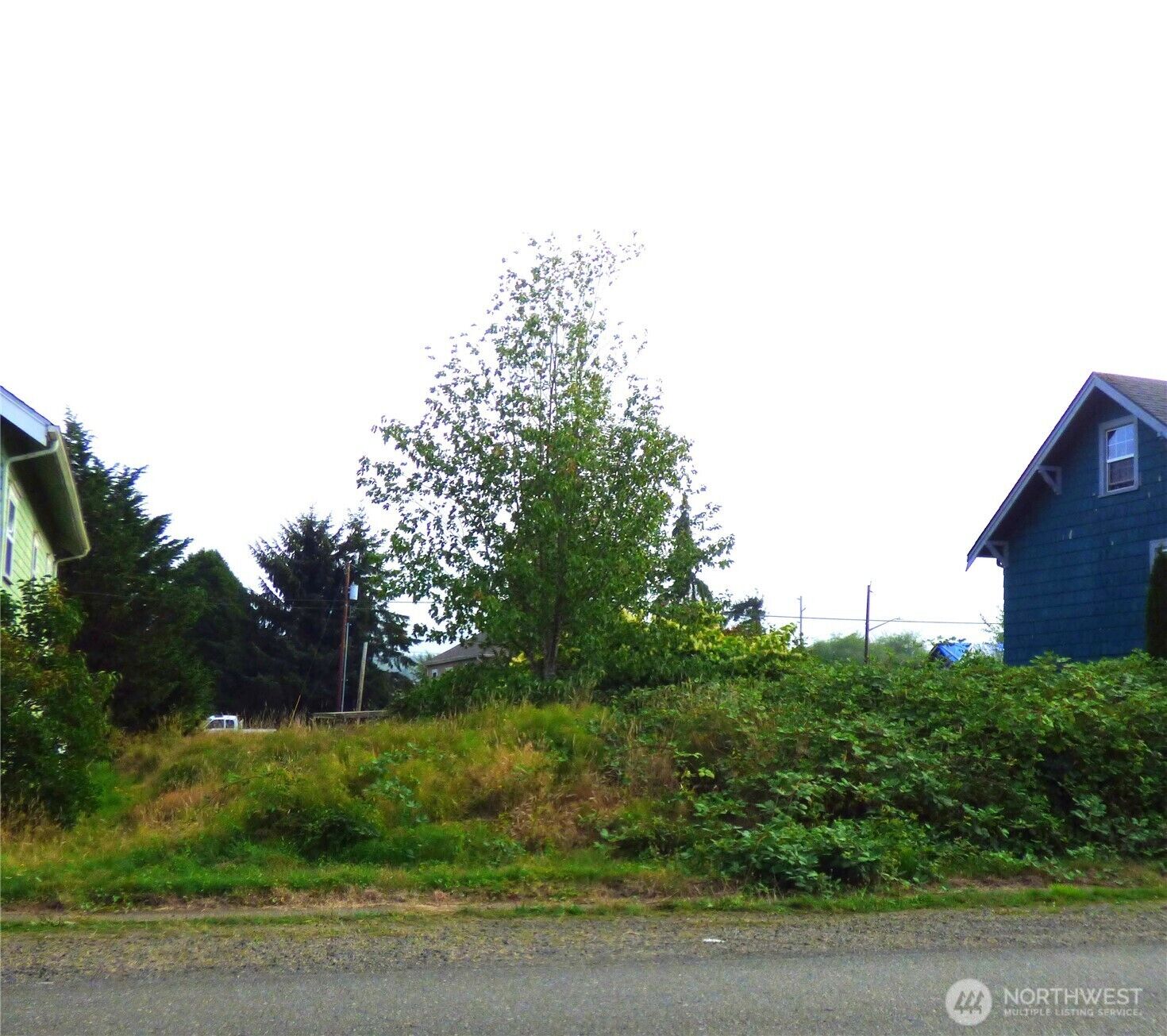 Property Photo:  921 W Perry Street  WA 98520 