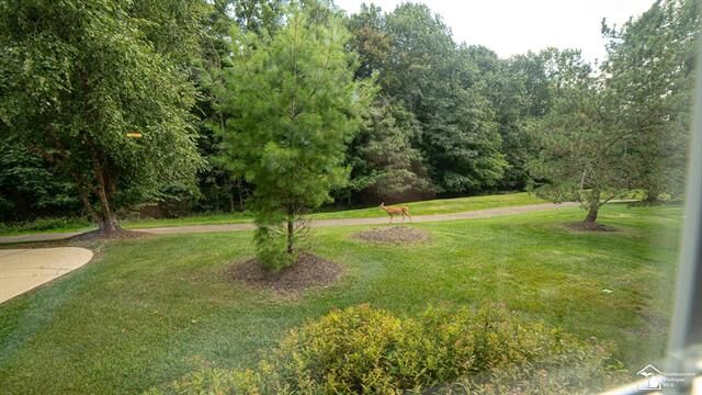 Property Photo: 15970 Morningside MI 48168
