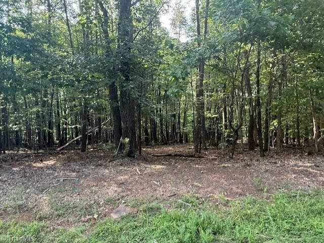 Property Photo:  558 Cedar Mountain Road  NC 27027 