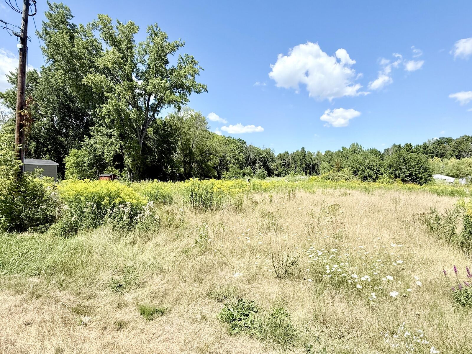 Property Photo: 0 Rugar Street NY 12901