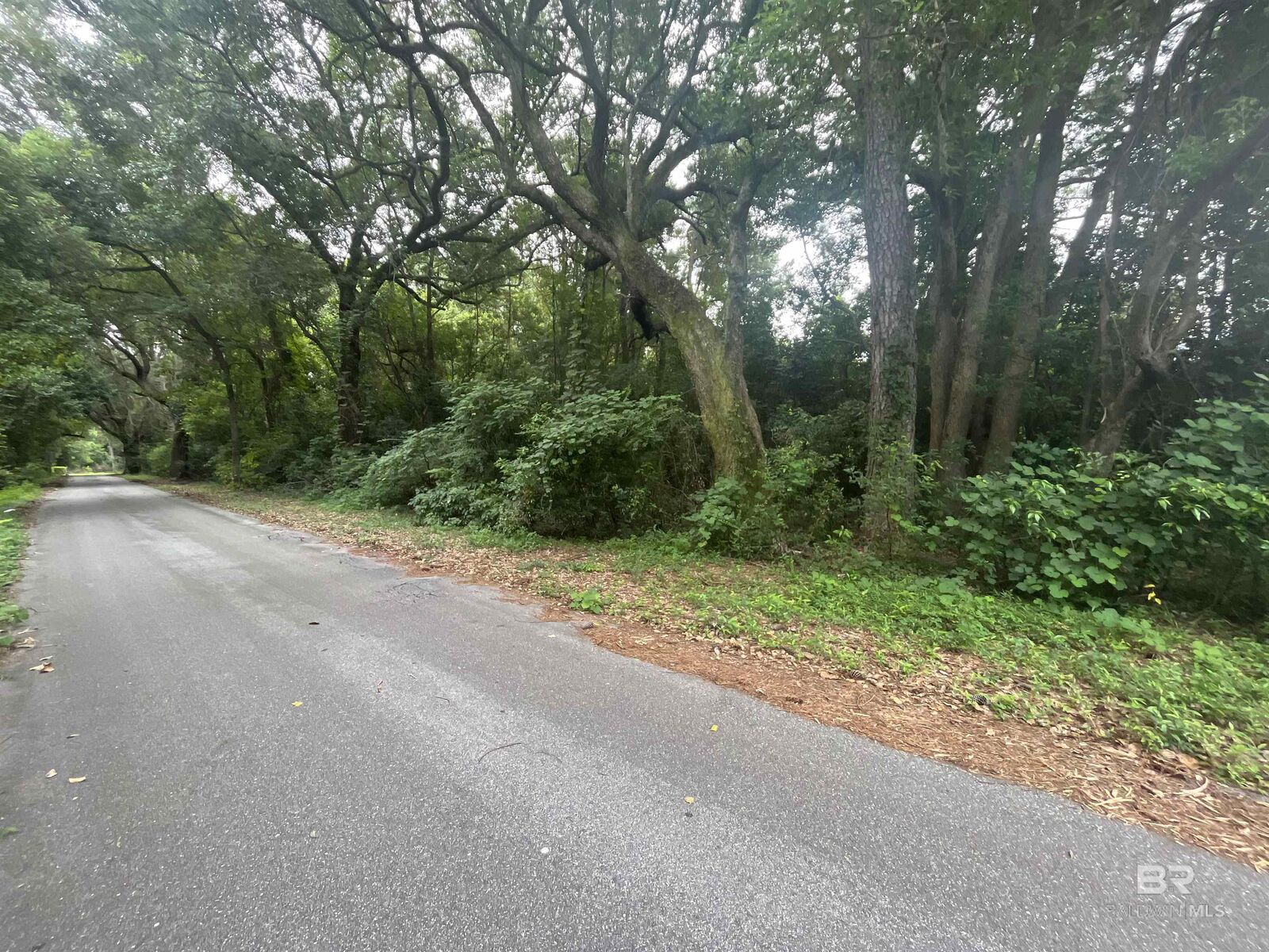 Property Photo: 0 Ramsey Road AL 36532