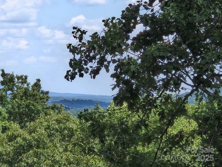 Lot 34 Hawks Nest Trail  Lake Lure NC 28746 photo