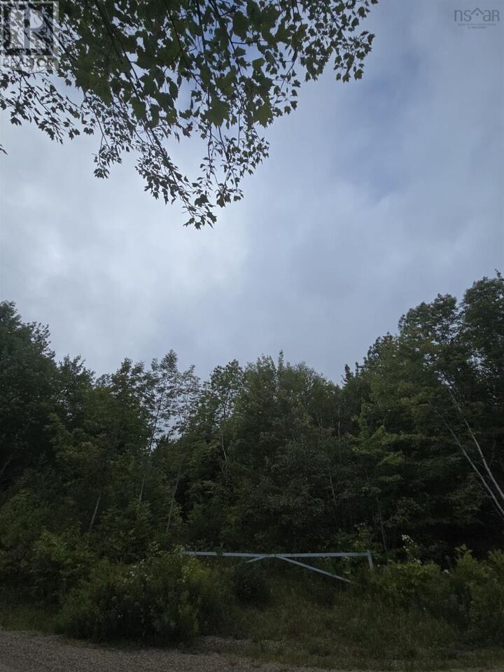 Property Photo:  Lot 6 Lochiel Lake Road (West Side)  NS B2G 2L3 