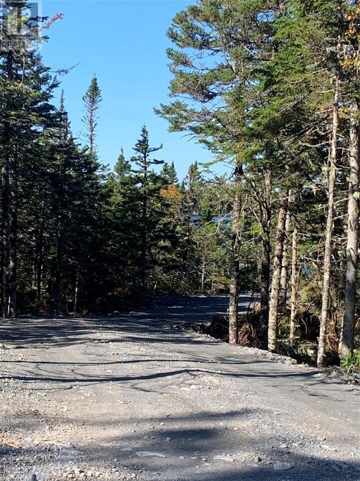 Property Photo:  Lot 26 Halleran Trail  NL A0B 1G0 