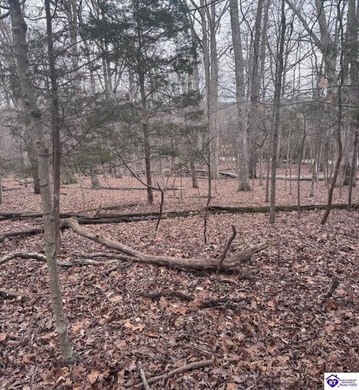 Property Photo:  Lot 42 Redwing Road  KY 40108 