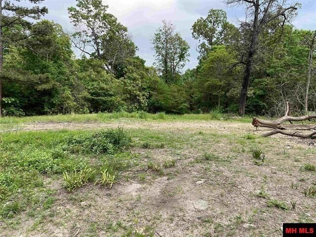 Property Photo: 1190 Robinwood Lane AR 72687