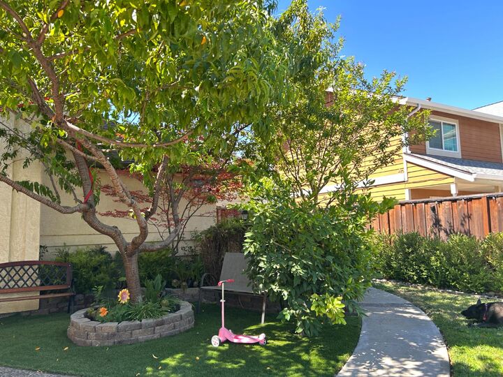 Property Photo: 380 Cecelio Way CA 95376