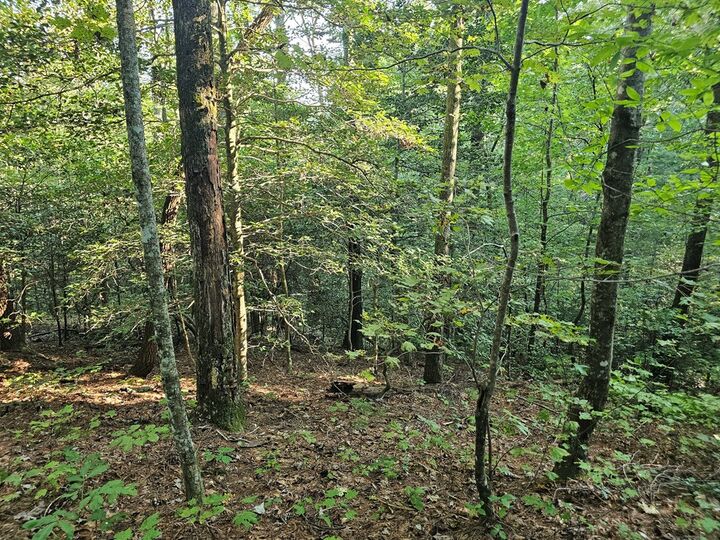 Property Photo:  0 Bates Drive  GA 30540 