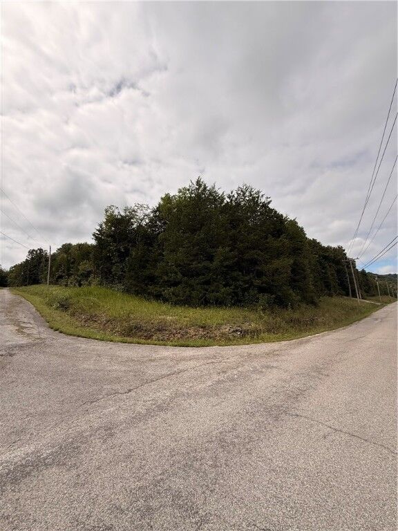Property Photo: Thunderbird Drive AR 72631