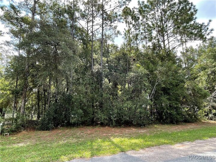Property Photo: 10079 N Pioneer Point FL 34434
