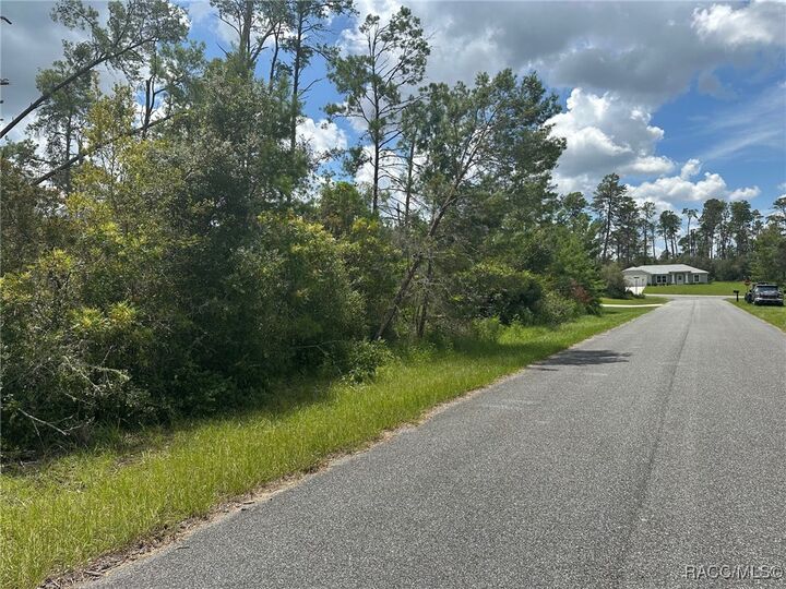 Property Photo:  8191 N Feather Avenue  FL 34433 