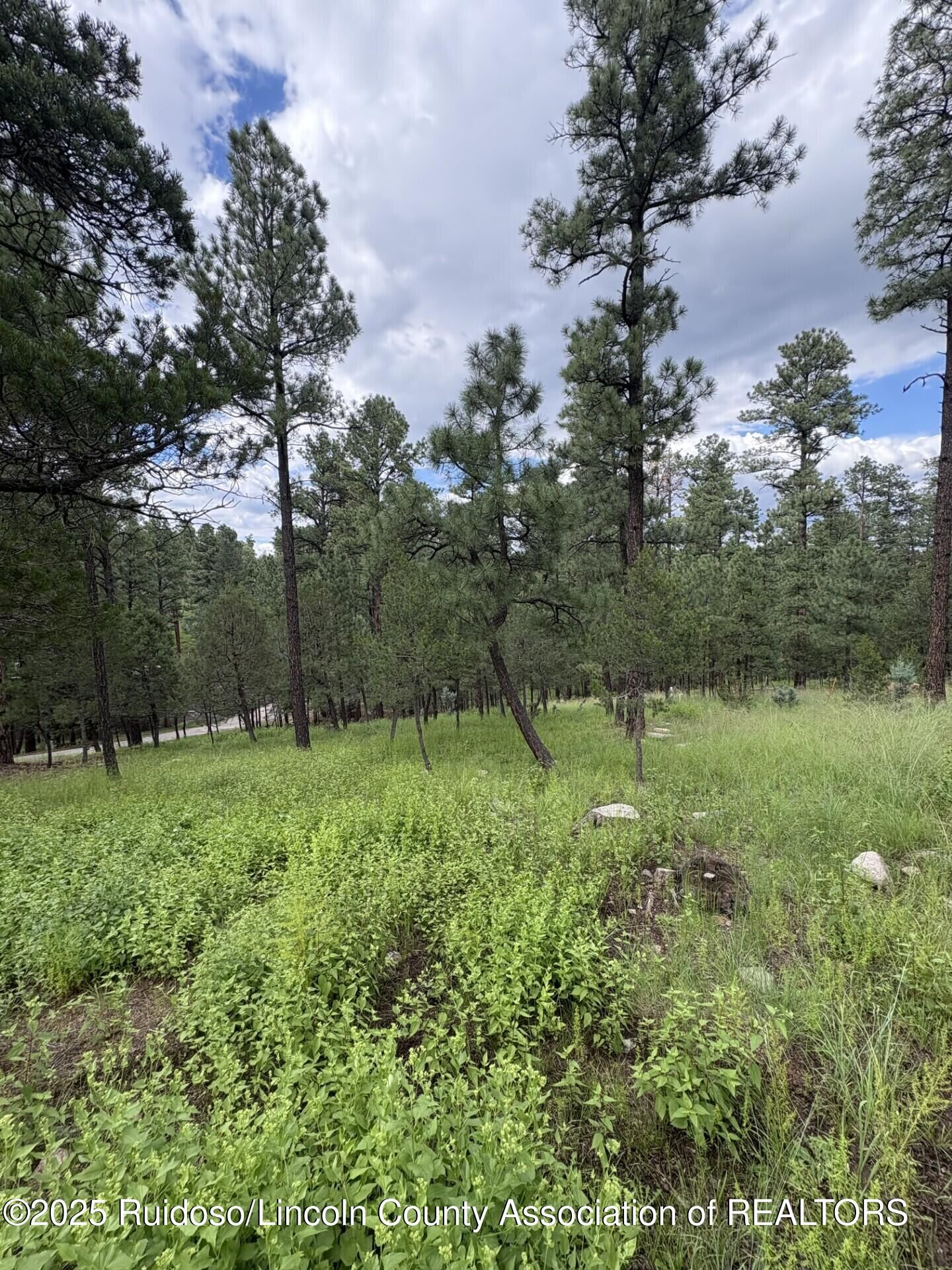Property Photo:  Lot 2 Incredible Ln  NM 88312 