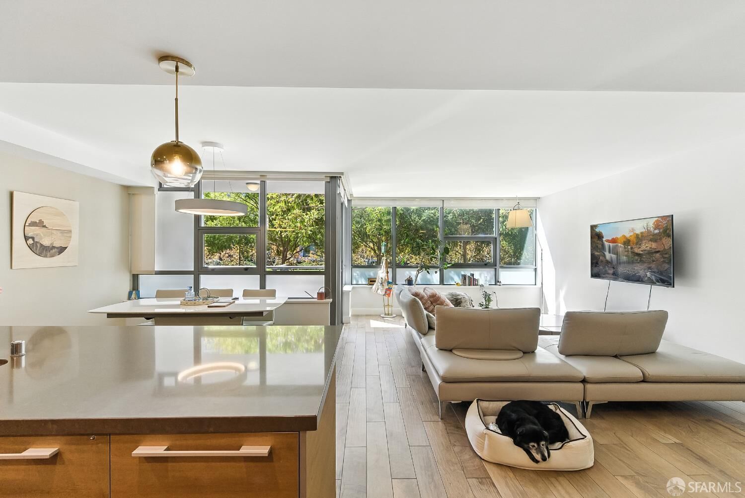 Property Photo: 420 N Mission Bay Boulevard 103 CA 94158